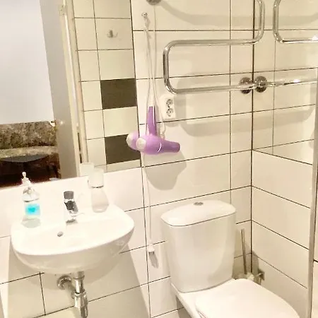 Centro Near Gedimas Avenue 公寓 *